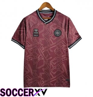 Denmark Soccer Jersey Special Edition Red Dark 2024/2025