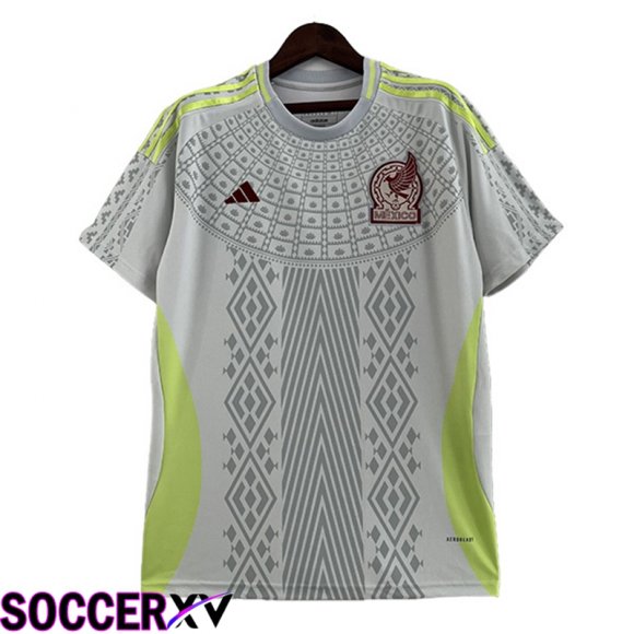 Mexico Nation Team Special Edition Grey 2023/2024