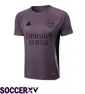 Arsenal Training T Shirt Purple 2025/2026