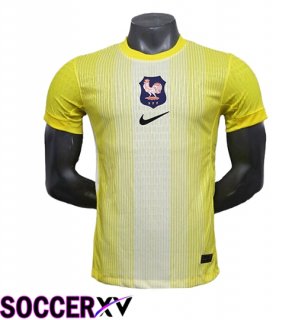 France Goalkeeper Soccer Jersey Yellow 2025/2026