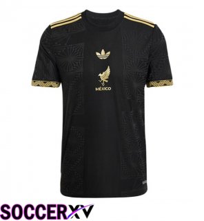 Mexico Soccer Jersey Black Yellow 2025/2026