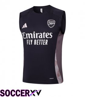 Arsenal Gilet Soccer Grey 2025/2026