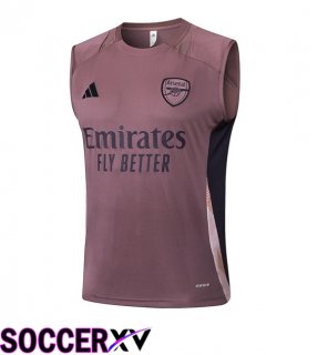 Arsenal Gilet Soccer Purple 2025/2026