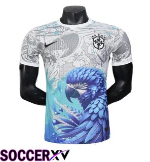 Brazil Soccer Jersey Special Edition Grey/Blue 2025/2026