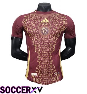 Soccer Jersey Algeria Special Edition Brown 2025/2026