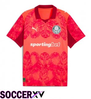 Soccer Jersey Palmeiras Club World Cup Goalkeeper Red 2025/2026