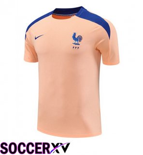 Training T Shirt France Pink 2025/2026