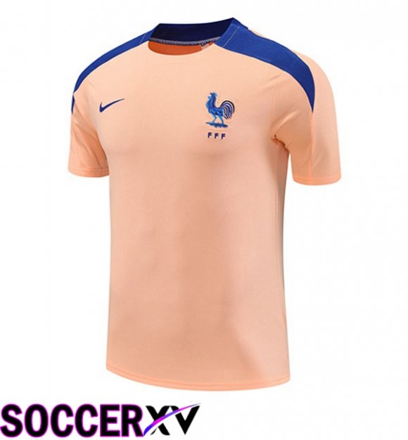 Training T Shirt France Pink 2025/2026