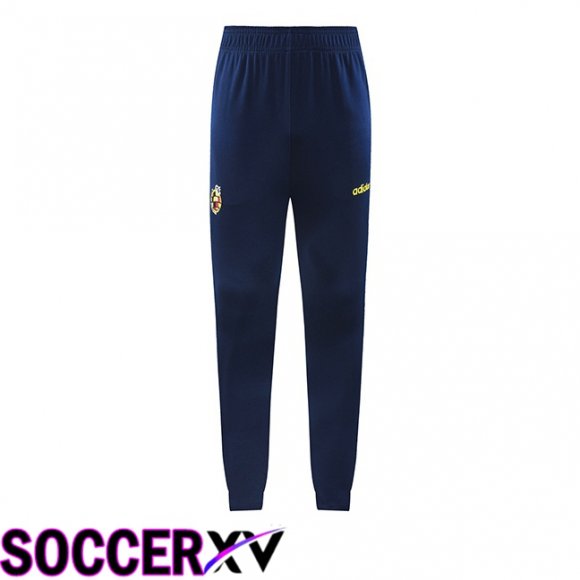 Spain Training Pants Black 2024/2025