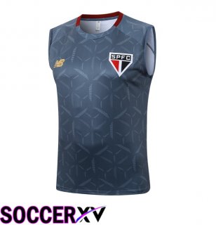 Sao Paulo FC Soccer Vest Grey 2025/2026
