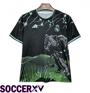 Real Madrid Soccer Jersey Special Edition Green 2024/2025