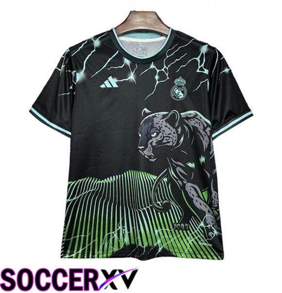Real Madrid Soccer Jersey Special Edition Green 2024/2025