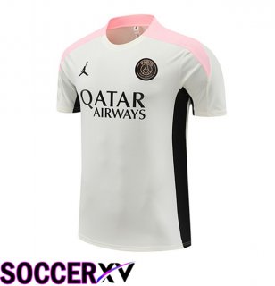Paris PSG Training T Shirt Grey 2024/2025