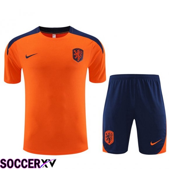 Netherlands Training T Shirt + Shorts Orange 2023/2024