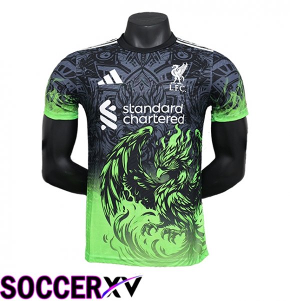 FC Liverpool Soccer Jersey Special Edition Black/Green 2024/2025